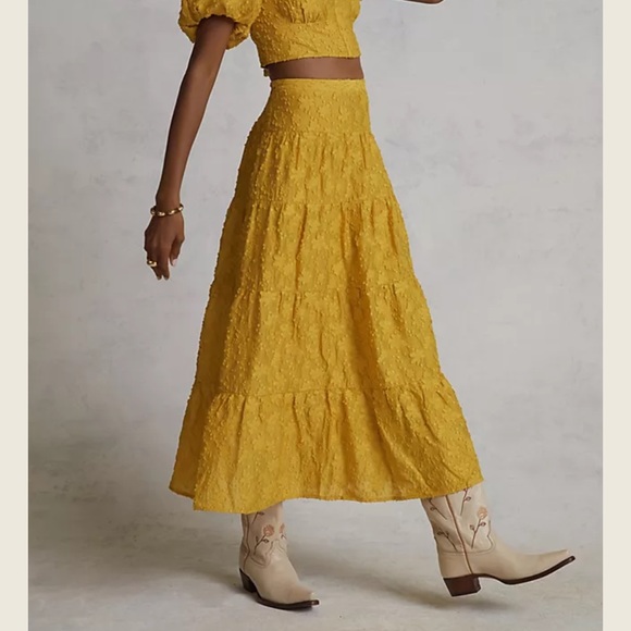 Anthropologie Dresses & Skirts - Anthropologie | embroidered midi skirt size 0 nwot